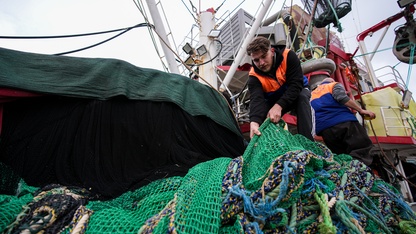 Hava koşulları nedeniyle denize açılamayan Egeli balıkçılar sezonun kalanından umutlu