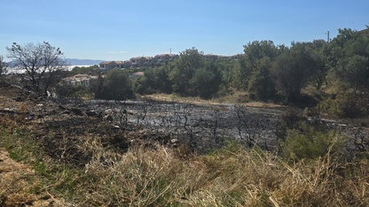 Datça'da otluk alanda çıkan yangın söndürüldü