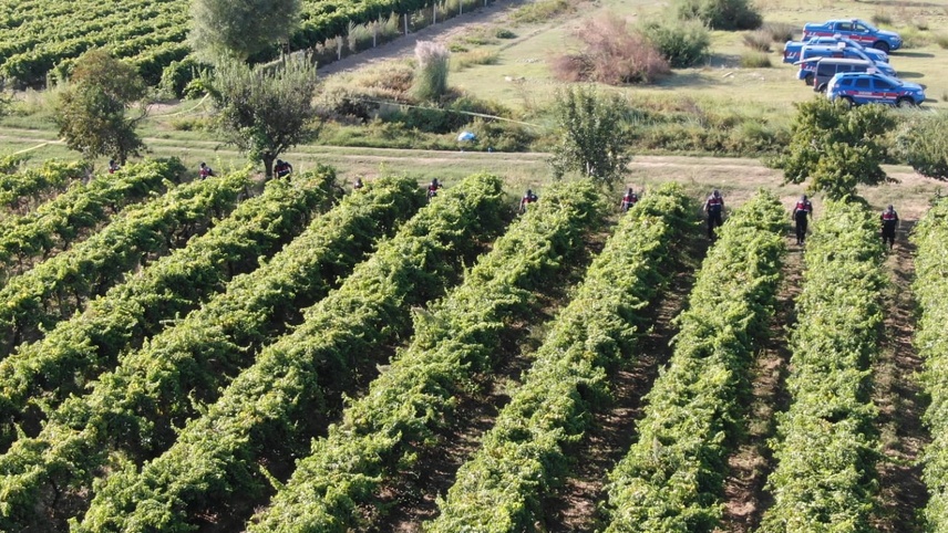 Manisa'da üzüm bağında silahla vurulan çiftçi öldü