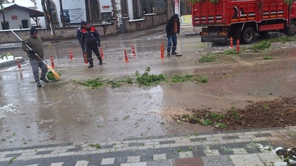 Sandıklı'da kar ağırlığına dayanamayan ağaçlar devrildi