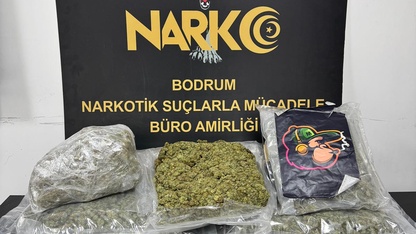 Bodrum'da uyuşturucu operasyonunda gözaltına alınan 2 zanlı tutuklandı