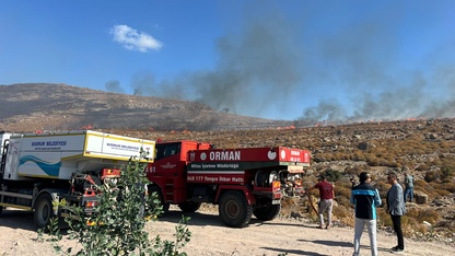 Bodrum'da otluk alanda çıkan yangın söndürüldü