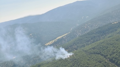 Denizli'nin Çivril ilçesinde orman yangını çıktı