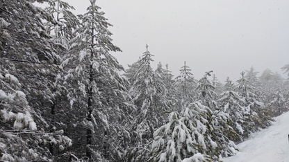Manisa'nın Demirci ilçesinde kar etkili oldu