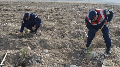 Bursa ve çevre illerde "Milli Ağaçlandırma Günü" etkinliği yapıldı