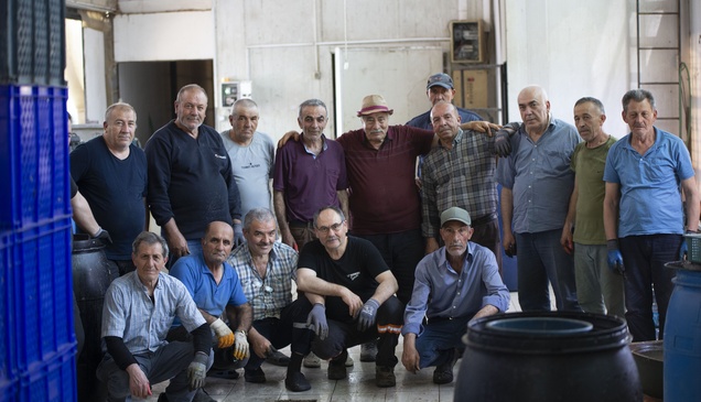 Makinenin yapamadığını erkeklerden oluşan "enginar soyma timi" yapıyor