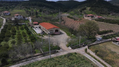 Anadolu'nun zeytinyağı mirası İzmir'deki "tadım kütüphanesinde" buluştu