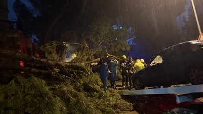 Aydın'da ağacın otomobilin üzerine devrilmesi sonucu 2 kişi yaralandı