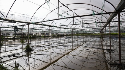 İzmir 6 günde şubat ortalamasının üzerinde yağış aldı