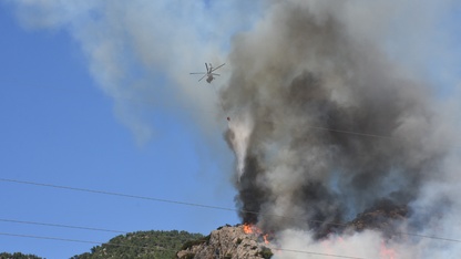 GÜNCELLEME - Bodrum'da çıkan orman yangınına müdahale ediliyor