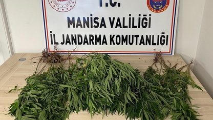 Salihli'de uyuşturucu operasyonunda yakalanan şüpheli tutuklandı
