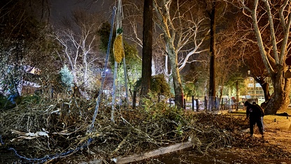 İzmir'de devrilen ağaç park halindeki otomobile ve işletmeye zarar verdi