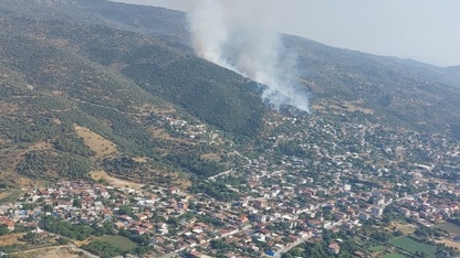 Aydın'da ziraat alanında çıkan yangına müdahale ediliyor