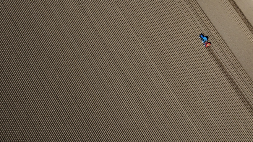 Patates deposu Ödemiş'te hasat ve ekim bir arada