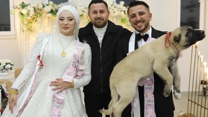 Denizli'de düğünde gelin ve damada takı yerine çoban köpeği hediye edildi