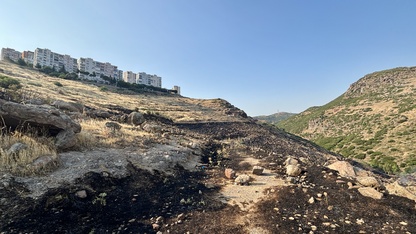 İzmir'de otluk ve ağaçlık alanda çıkan yangın söndürüldü