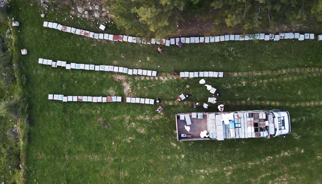 Gezginci arıcıların yayla yolculuğu başladı