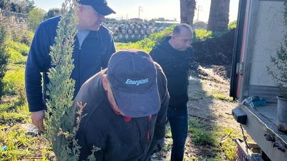 Datça'nın "Doğa Dedesi"nden Ankara Üniversitesinin 80. kuruluş yılında yaklaşık 500 fidan bağışı