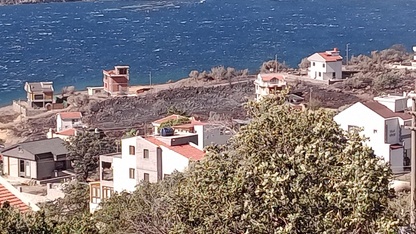 İzmir Dikili'de sitede çıkarak makilik alana sıçrayan yangına müdahale ediliyor
