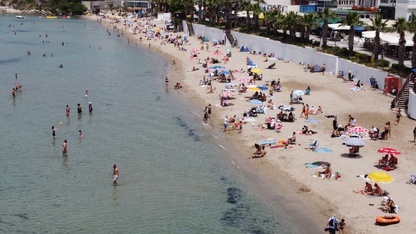 Denizseverler, Kuşadası ve Didim sahillerinde yoğunluk oluşturdu