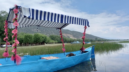 Işıklı Gölü'nde nilüfer çiçeği turları başladı