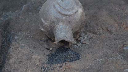 Seyitömer Höyüğü'nde Tunç Çağı'ndan kalma haşhaş ve nohut taneleri bulundu