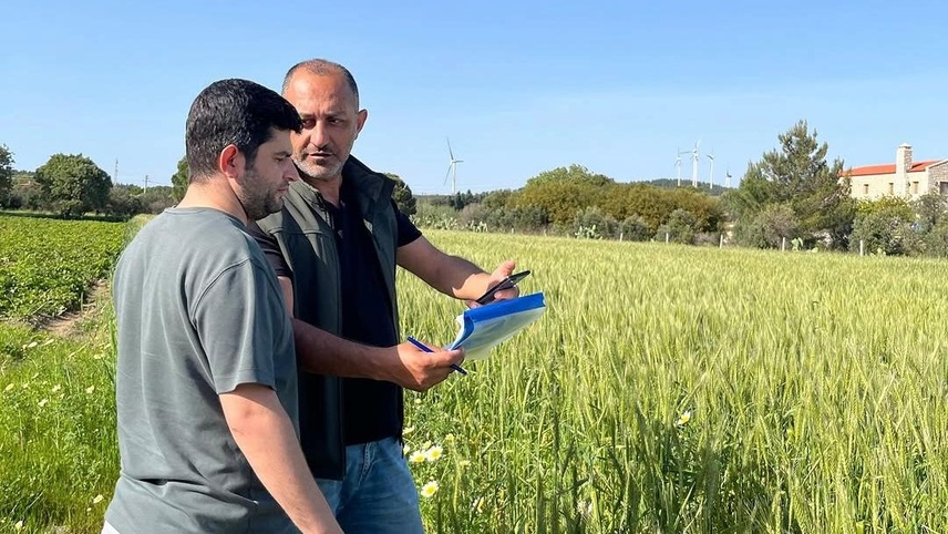 Datça'da tarım arazilerinde üretim planlaması kontrolleri yapıldı