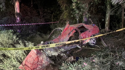 Aydın'da ağaca çarpan otomobildeki 2 kişi öldü