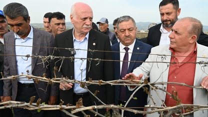 TZOB Genel Başkanı Bayraktar, Manisa'da zirai dondan etkilenen bağları inceledi