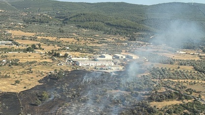 Bodrum'da tarım arazisinde çıkan yangın söndürüldü