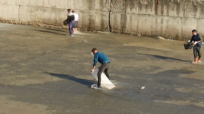 Sandıklı'da barajın taşan savağında vatandaşlar balık topladı