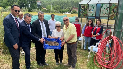 Dalaman'da birinci sınıf öğrencileri çilek ve salep hasadı yaptı